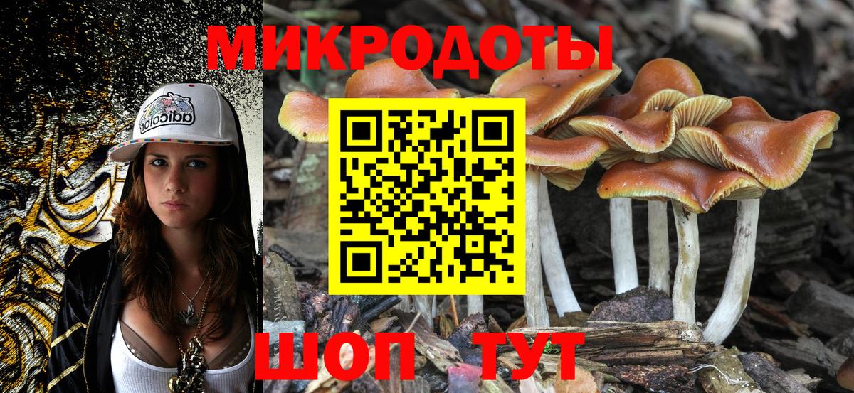 Псилоцибиновые грибы GOLDEN TEACHER Белово