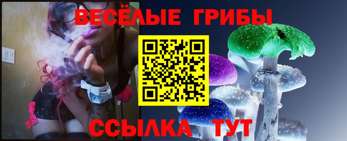 Псилоцибиновые грибы ЛСД  Вход с VPN  Белово  Галлюциногенные грибы Psilocybine cubensis 